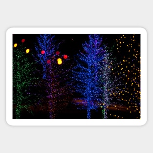 Christmas Lights Sticker